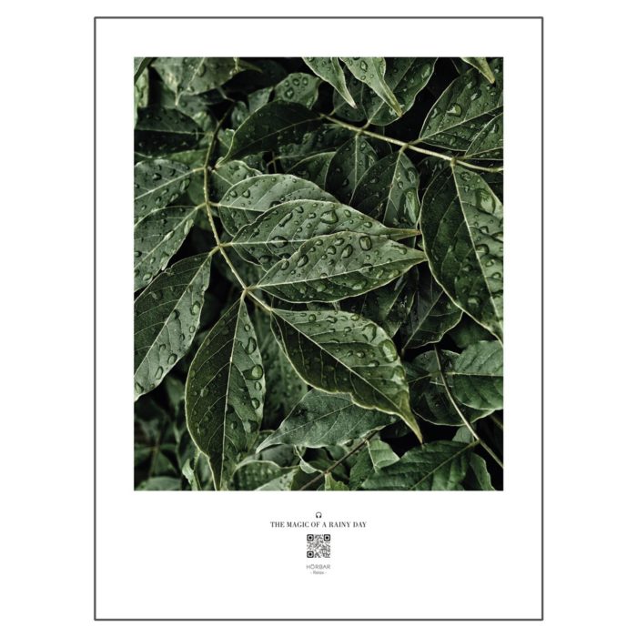 hoerbar_poster_rainy_day_leaves_01.jpg