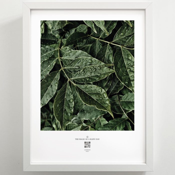hoerbar_poster_rainy_day_leaves_02